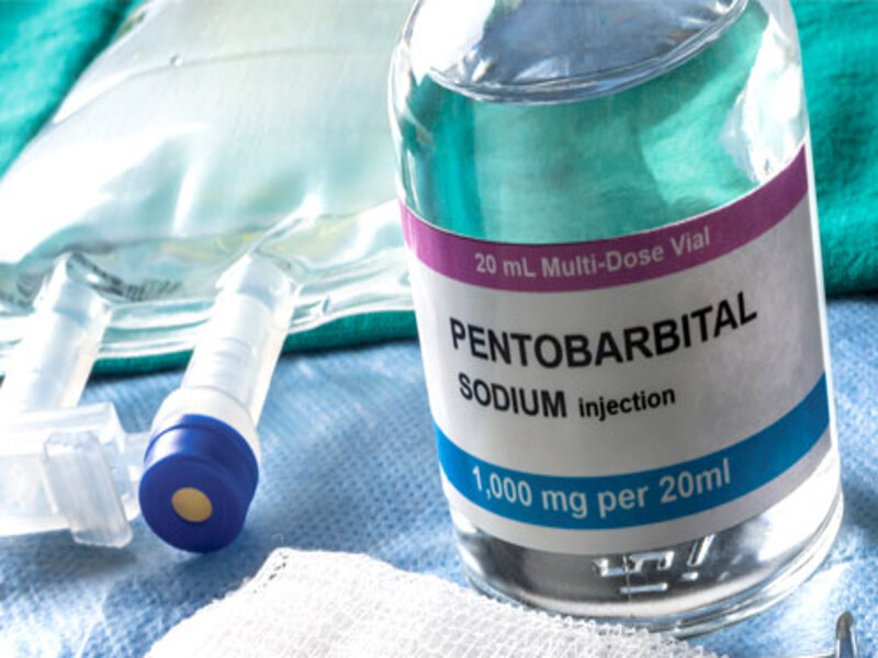 Legal Use Cases for Pentobarbital in the US